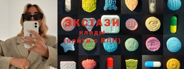 шишки Белокуриха