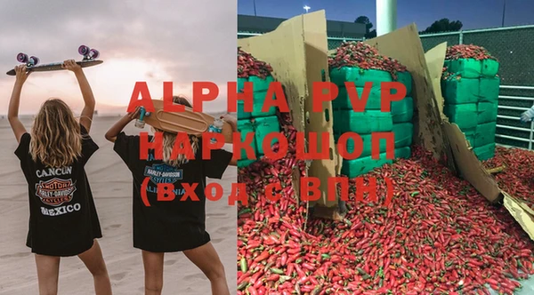 шишки Белокуриха