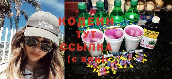 шишки Белокуриха