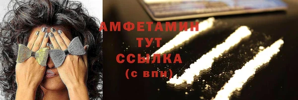 шишки Белокуриха