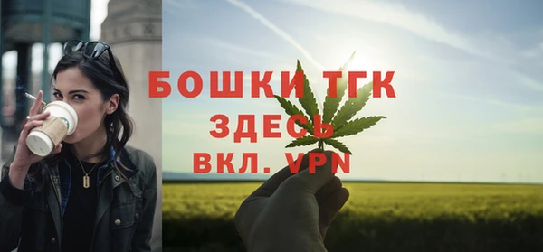 шишки Белокуриха