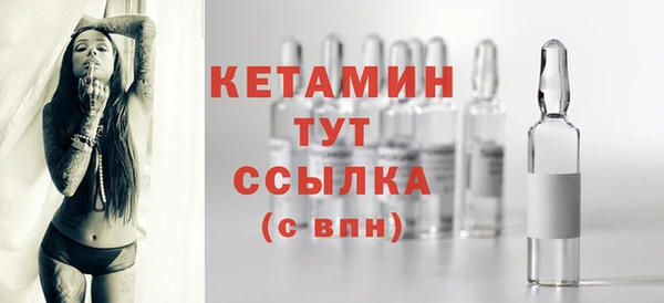 шишки Белокуриха