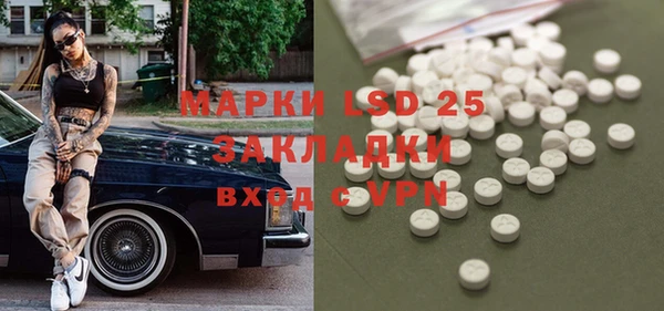 шишки Белокуриха