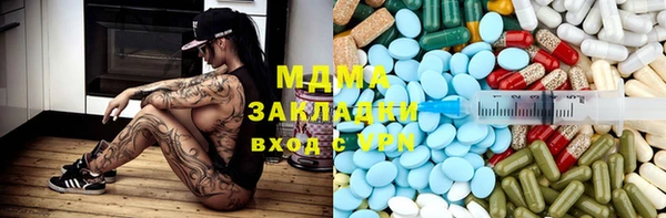 шишки Белокуриха