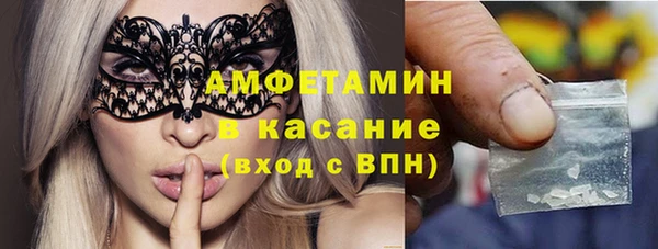 шишки Белокуриха