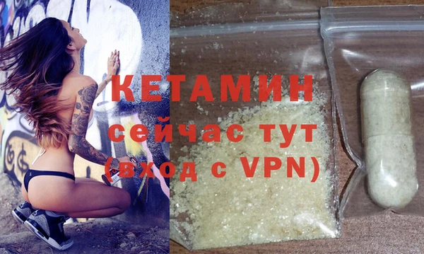 шишки Белокуриха